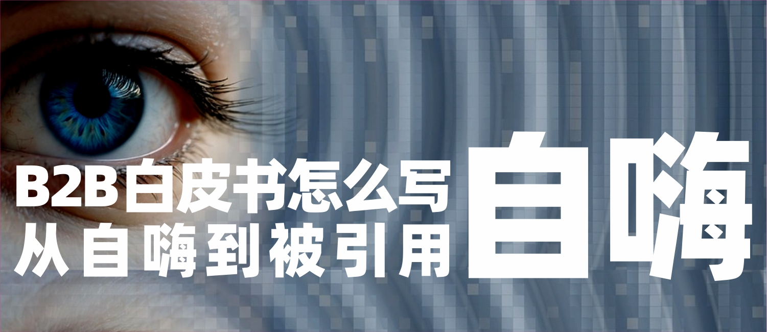    信立浩达：B2B白皮书怎么写才有人看——从自嗨到被引用