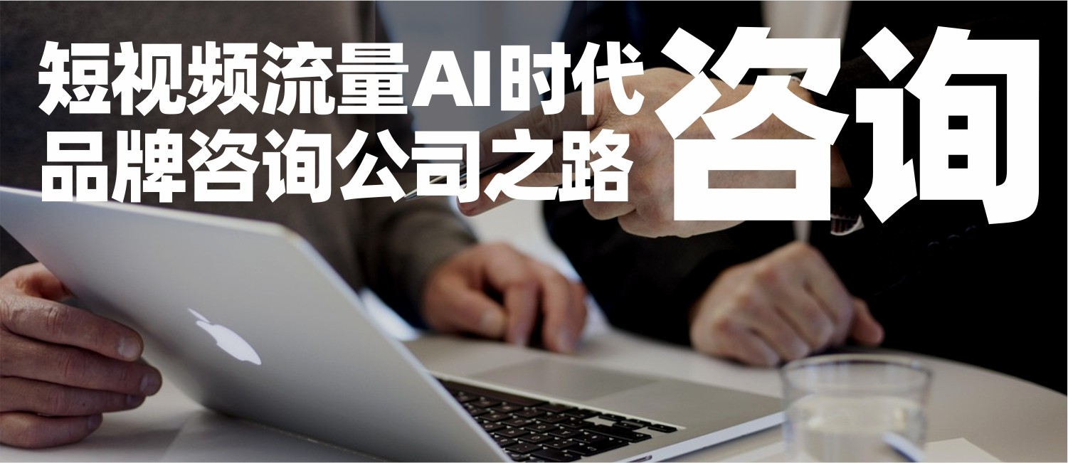 信立浩达：品牌咨询行业白皮书